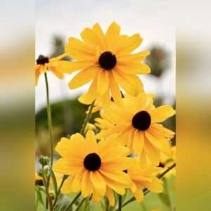 Size L Unlisted Items